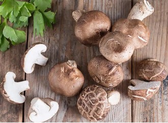 Advances in the Treatment of HPV with Shiitake Mushroom Extract