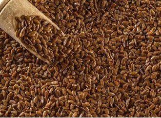 Flaxseed Powder: The Secret Weapon for Boosting Immunity and Hormonal Balance