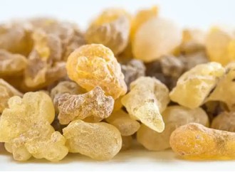 Exploring Boswellia Extract as a Natural Treatment for Arthritis