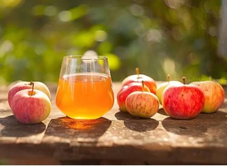 The Positive Effects of Apple Pectin Powder on Intestinal Health  