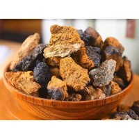 Chaga Mushroom Extract Powder