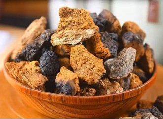 What are the active ingredients in Chaga mushroom extract?