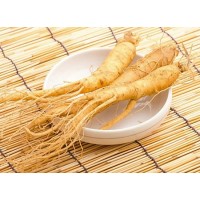 Panax Ginseng Extract Ginsenosides