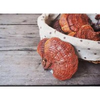 Reishi Mushroom Extract Powder