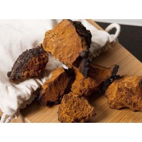 Chaga Mushroom Extract Powder