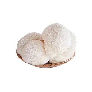Lion's Mane Mushroom Extract Powder