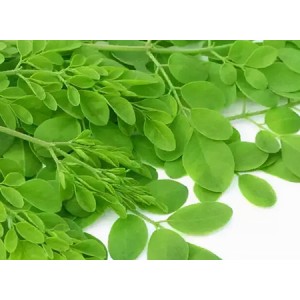 Organic Moringa Leaf Powder