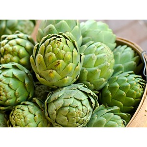 Artichoke Leaf Extract Cynarin