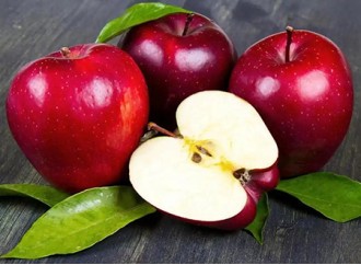 Study shows: Apple extract can improve fatty liver caused by high-fat diet