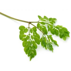 Organic Moringa Leaf Powder