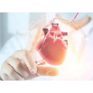 Coenzyme Q10 Powder