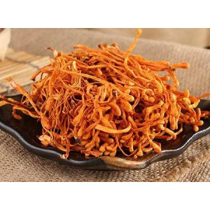 Cordyceps Militaris Extract Powder