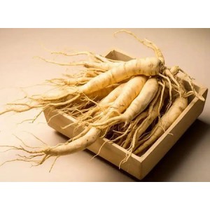 Panax Ginseng Extract Ginsenosides