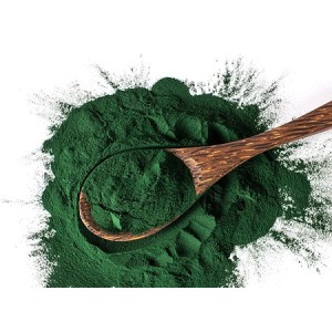 Organic Spirulina Powder