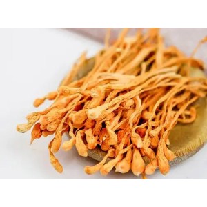 Cordyceps Militaris Extract Powder