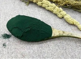 The Health Benefits of Long-Term Organic Spirulina Powder Consumption for Women