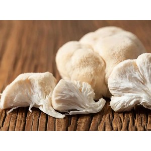 Lion's Mane Mushroom Extract Powder