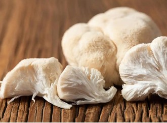 Lion's Mane Mushroom Extract: A Promising Aid for Memory Enhancement