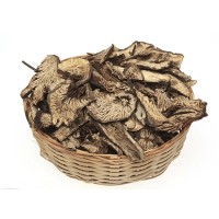 Black Cohosh Extract
