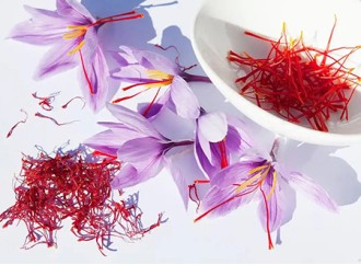 The Unique Benefits of Saffron Extract in Skin Care Products