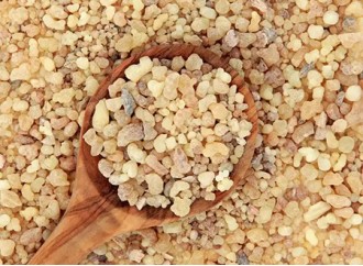 Benefits of Boswellia Extract for Gastrointestinal Health