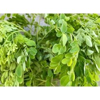 Organic Moringa Leaf Powder