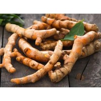 Turmeric Root Extract Curcumin