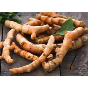 Turmeric Root Extract Curcumin