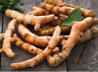Application of Turmeric Root Extract in Skin Care Products