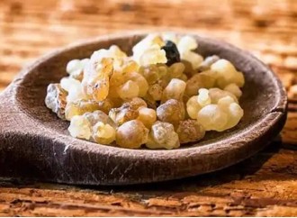 Does Boswellia Extract Help Reduce Stretch Marks?