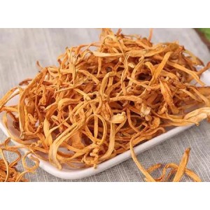Organic Cordyceps Militaris Extract