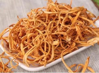 The Effect of Cordyceps militaris Extract in Lowering Uric Acid