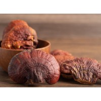 Reishi Mushroom Extract Powder