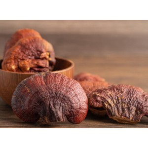 Reishi Mushroom Extract Powder