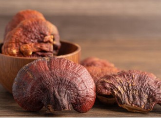 How does reishi mushroom extract enhance non-specific immune function?