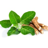 Ashwagandha extract or Ginseng extract