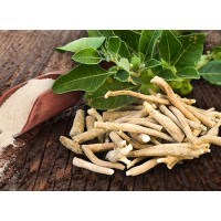 Ashwagandha Extract Withanolides