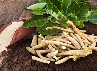 Ashwagandha Extract: Supporting Healthy Sleep Naturally