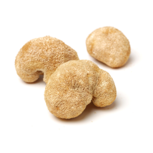 Lion’s Mane Extract Powder