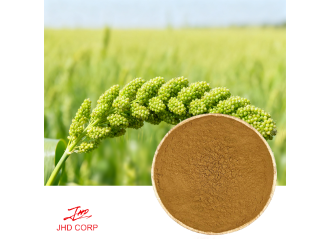 What Makes Millet Seed Extract a Valuable Natural Wellness Helper? What Makes Millet Seed Extract a Valuable Natural Wellness Helper?