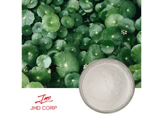 What Is Centella Asiatica Extract? 