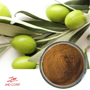 Olive Leaf Extract Oleuropein Powder 20% HPLC
