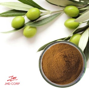 Olive Leaf Extract Oleuropein Powder 40% HPLC