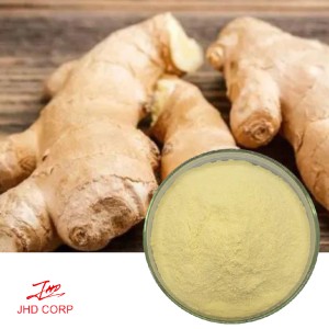 Ginger Root Extract  -  Gingerol 5%