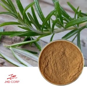 plant extract manufacturer Rosemary Extract Powder--10:1 