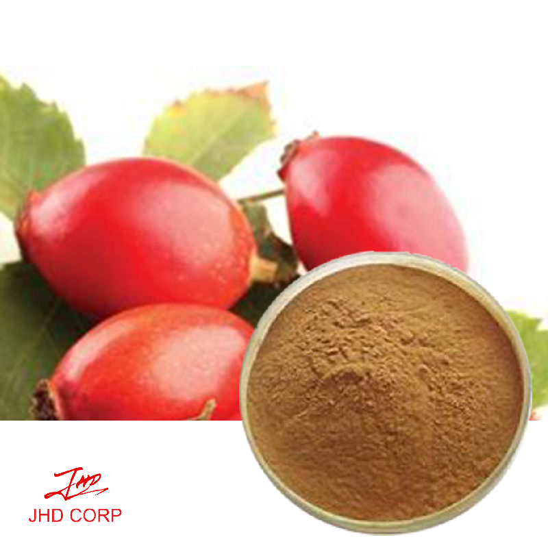 Rose Hips Extract 10:1 TLC