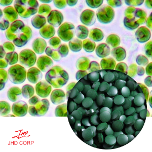 OEM Chlorella Tablets