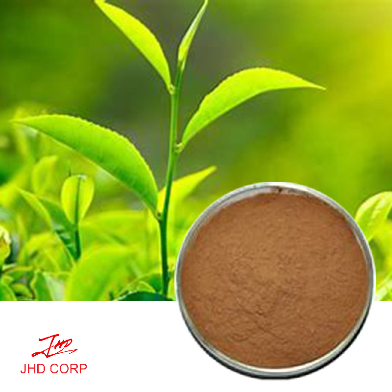 Green Tea Extract Polyphenols 95% UV