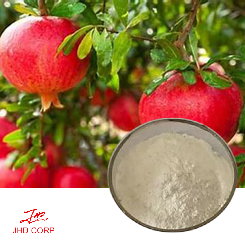 Pomegranate Extract Ellagic Acid 70% HPLC