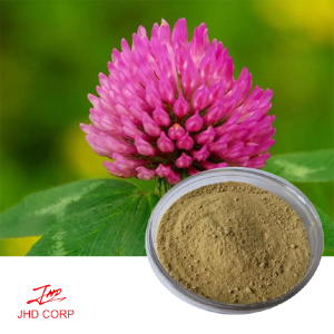 plant extract manufacture natural Red Clover Extract Isoflavones 8%